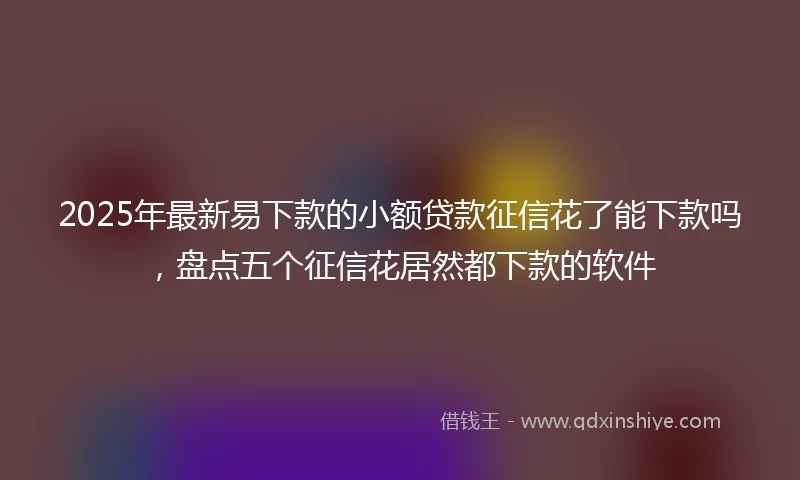 2025年最新易下款的小额贷款征信花了能下款吗，盘点五个征信花居然都下款的软件