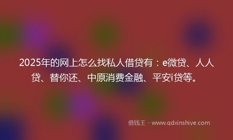 2025年的网上怎么找私人借贷有：e微贷、人人贷、替你还、中原消费金融、平安i贷等。
