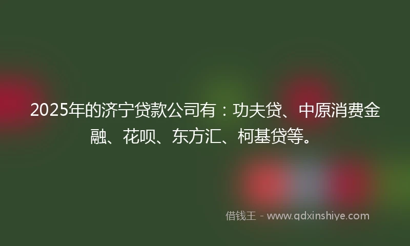 2025年的济宁贷款公司有：功夫贷、中原消费金融、花呗、东方汇、柯基贷等。