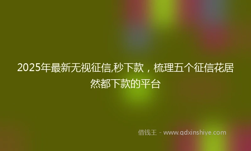 2025年最新无视征信,秒下款，梳理五个征信花居然都下款的平台