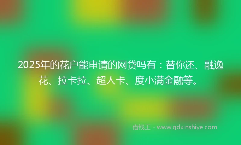 2025年的花户能申请的网贷吗有：替你还、融逸花、拉卡拉、超人卡、度小满金融等。
