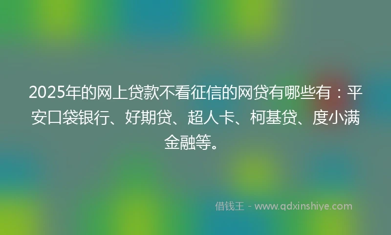 2025年的网上贷款不看征信的网贷有哪些有：平安口袋银行、好期贷、超人卡、柯基贷、度小满金融等。