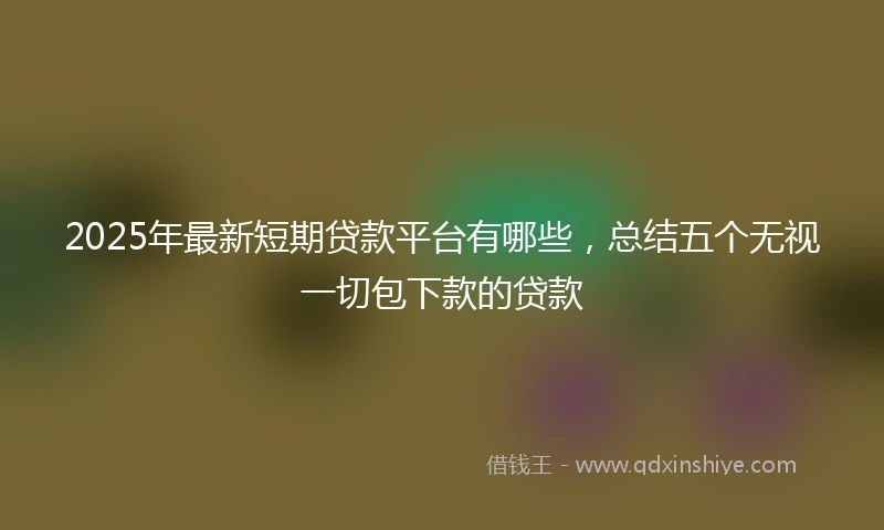 2025年最新短期贷款平台有哪些，总结五个无视一切包下款的贷款