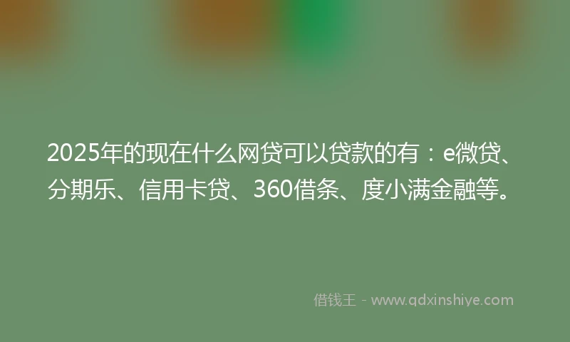 2025年的现在什么网贷可以贷款的有：e微贷、分期乐、信用卡贷、360借条、度小满金融等。