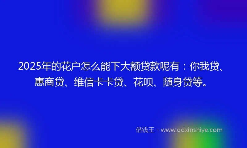 2025年的花户怎么能下大额贷款呢有：你我贷、惠商贷、维信卡卡贷、花呗、随身贷等。