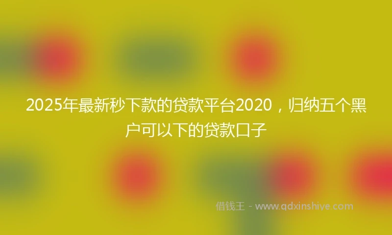 2025年最新秒下款的贷款平台2020，归纳五个黑户可以下的贷款口子