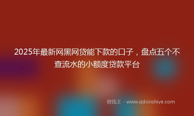 2025年最新网黑网贷能下款的口子，盘点五个不查流水的小额度贷款平台