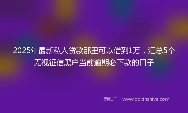 2025年最新私人贷款那里可以借到1万，汇总5个无视征信黑户当前逾期必下款的口子