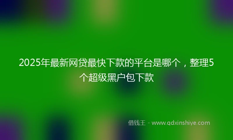 2025年最新网贷最快下款的平台是哪个,整理5个超级黑户包下款