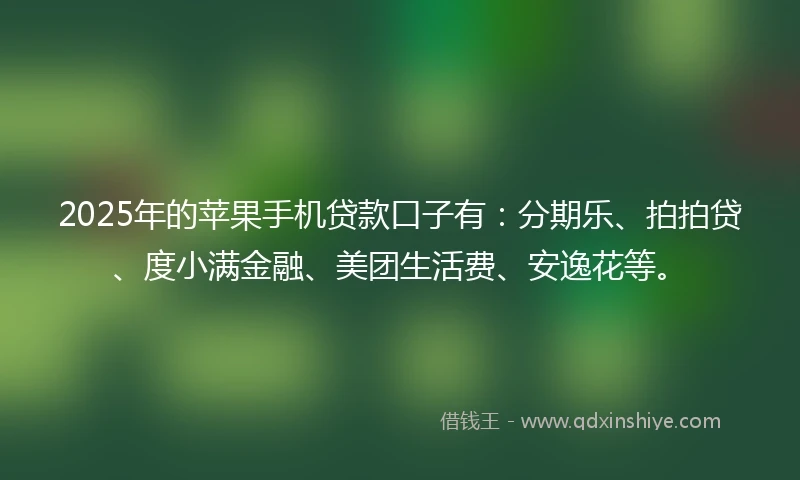 2025年的苹果手机贷款口子有：分期乐、拍拍贷、度小满金融、美团生活费、安逸花等。