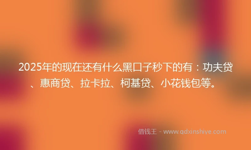 2025年的现在还有什么黑口子秒下的有：功夫贷、惠商贷、拉卡拉、柯基贷、小花钱包等。