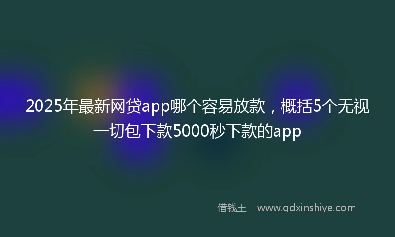 2025年最新网贷app哪个容易放款，概括5个无视一切包下款5000秒下款的app