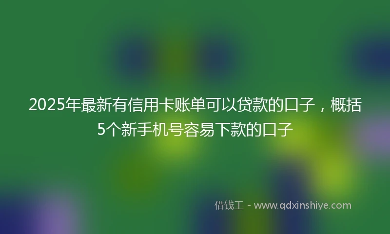 2025年最新有信用卡账单可以贷款的口子，概括5个新手机号容易下款的口子