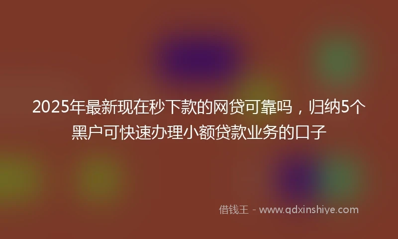 2025年最新现在秒下款的网贷可靠吗，归纳5个黑户可快速办理小额贷款业务的口子