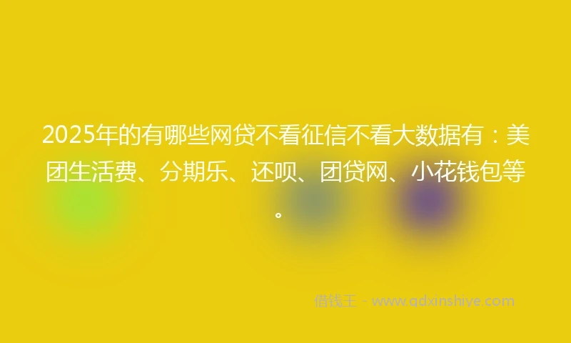 2025年的有哪些网贷不看征信不看大数据有：美团生活费、分期乐、还呗、团贷网、小花钱包等。