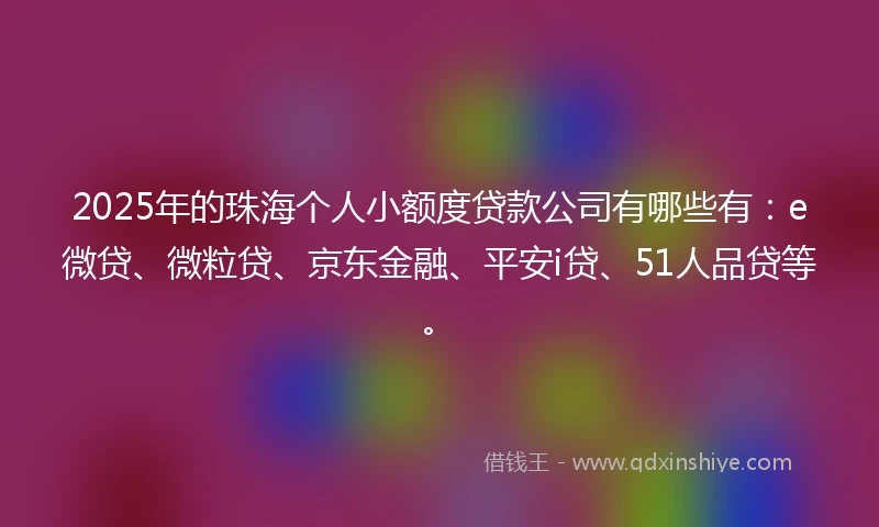 2025年的珠海个人小额度贷款公司有哪些有：e微贷、微粒贷、京东金融、平安i贷、51人品贷等。