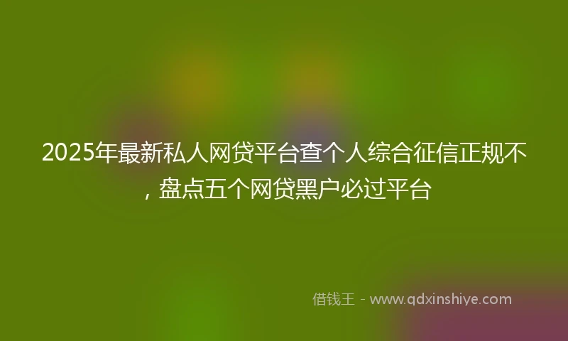 2025年最新私人网贷平台查个人综合征信正规不，盘点五个网贷黑户必过平台