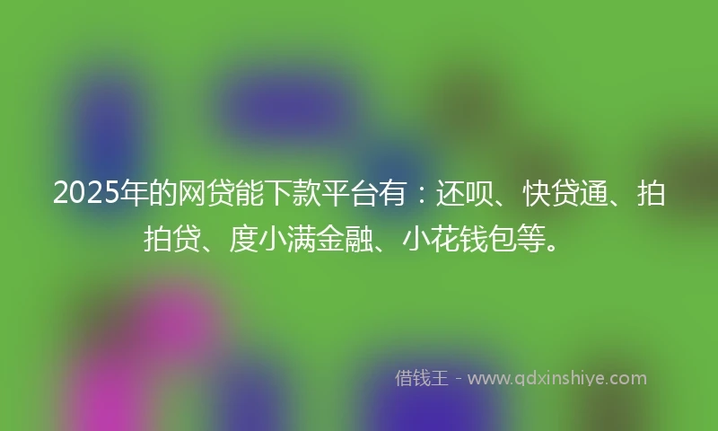2025年的网贷能下款平台有：还呗、快贷通、拍拍贷、度小满金融、小花钱包等。