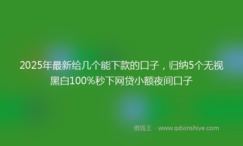 2025年最新给几个能下款的口子，归纳5个无视黑白100%秒下网贷小额夜间口子