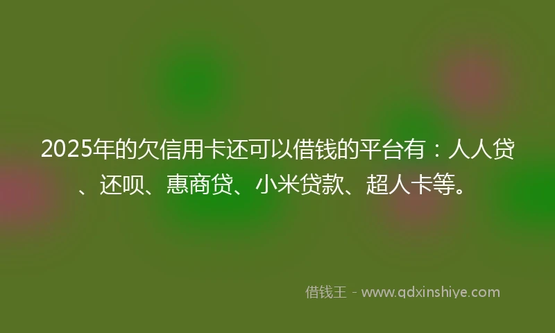 2025年的欠信用卡还可以借钱的平台有：人人贷、还呗、惠商贷、小米贷款、超人卡等。
