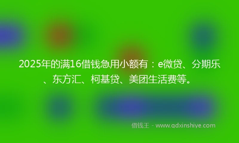 2025年的满16借钱急用小额有：e微贷、分期乐、东方汇、柯基贷、美团生活费等。