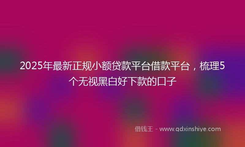 2025年最新正规小额贷款平台借款平台，梳理5个无视黑白好下款的口子
