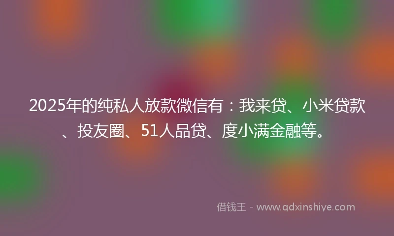 2025年的纯私人放款微信有：我来贷、小米贷款、投友圈、51人品贷、度小满金融等。