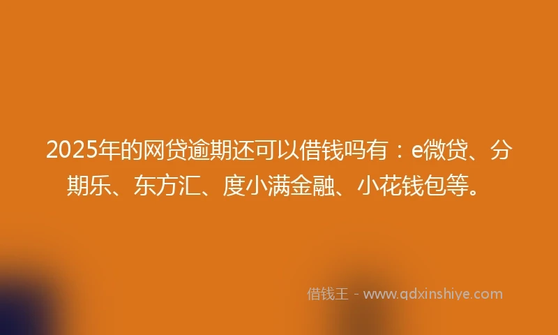 2025年的网贷逾期还可以借钱吗有：e微贷、分期乐、东方汇、度小满金融、小花钱包等。