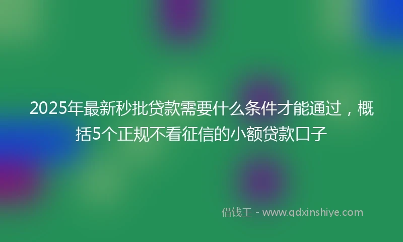 2025年最新秒批贷款需要什么条件才能通过，概括5个正规不看征信的小额贷款口子
