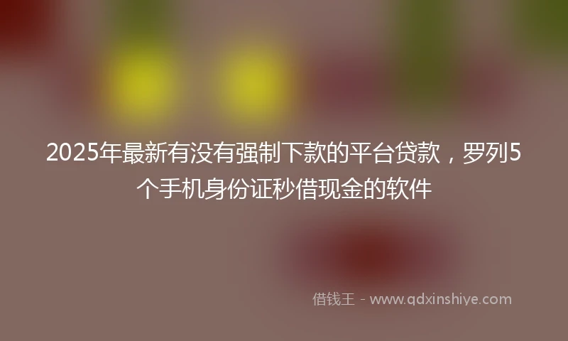 2025年最新有没有强制下款的平台贷款，罗列5个手机身份证秒借现金的软件
