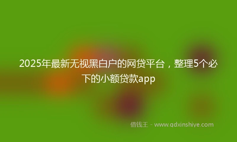 2025年最新无视黑白户的网贷平台，整理5个必下的小额贷款app