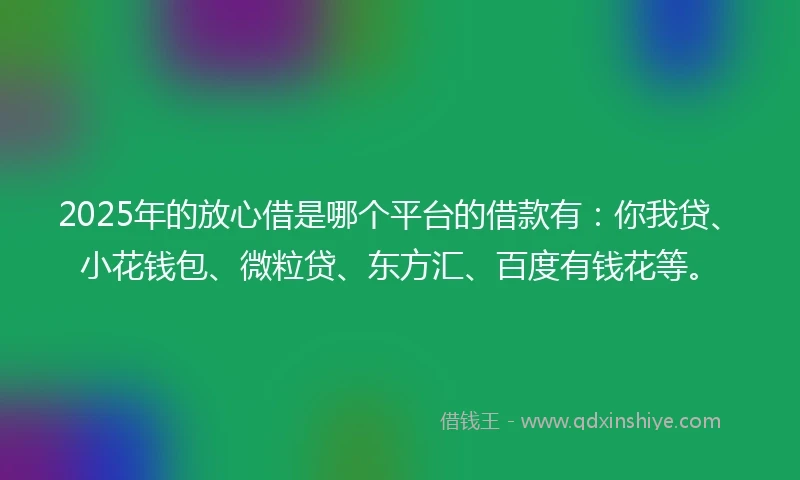 2025年的放心借是哪个平台的借款有：你我贷、小花钱包、微粒贷、东方汇、百度有钱花等。