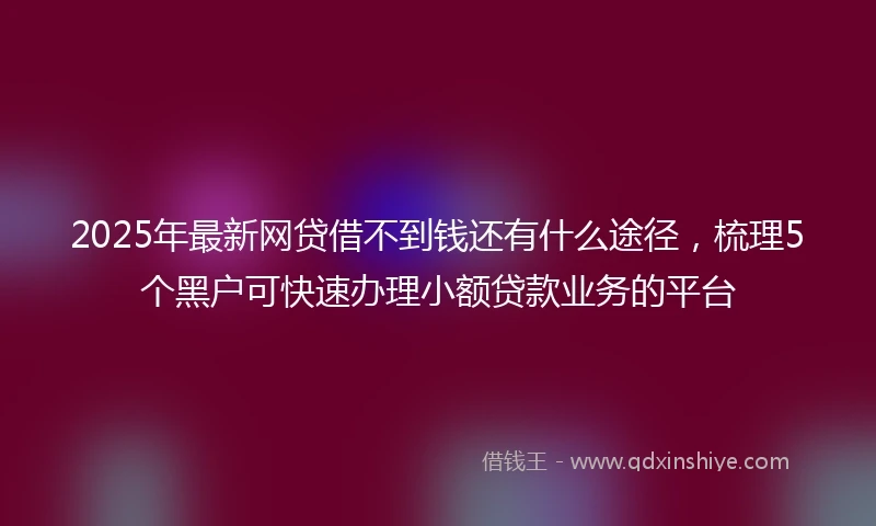 2025年最新网贷借不到钱还有什么途径，梳理5个黑户可快速办理小额贷款业务的平台