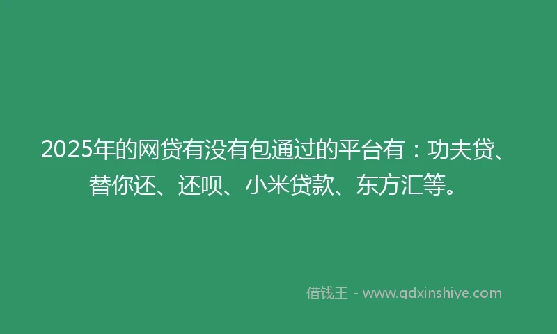 2025年的网贷有没有包通过的平台有：功夫贷、替你还、还呗、小米贷款、东方汇等。