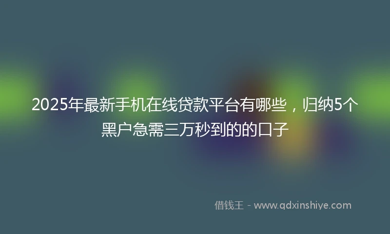2025年最新手机在线贷款平台有哪些，归纳5个黑户急需三万秒到的的口子