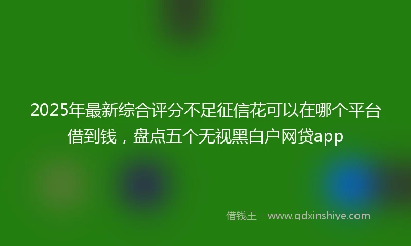 2025年最新综合评分不足征信花可以在哪个平台借到钱，盘点五个无视黑白户网贷app