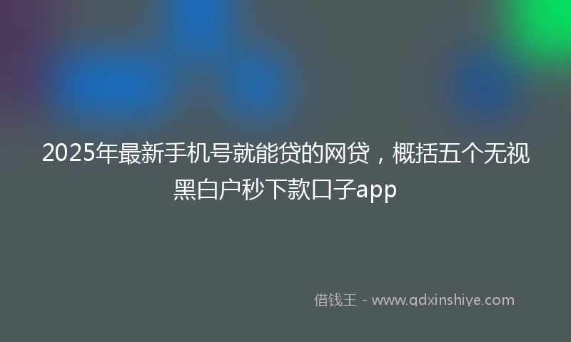 2025年最新手机号就能贷的网贷，概括五个无视黑白户秒下款口子app
