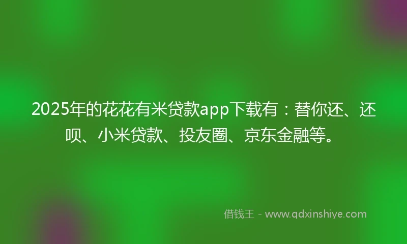 2025年的花花有米贷款app下载有：替你还、还呗、小米贷款、投友圈、京东金融等。