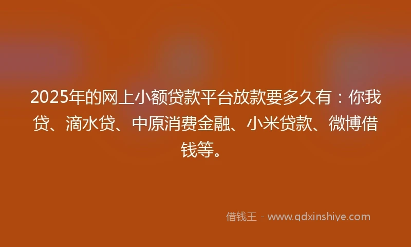 2025年的网上小额贷款平台放款要多久有：你我贷、滴水贷、中原消费金融、小米贷款、微博借钱等。