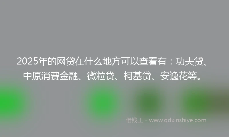 2025年的网贷在什么地方可以查看有：功夫贷、中原消费金融、微粒贷、柯基贷、安逸花等。