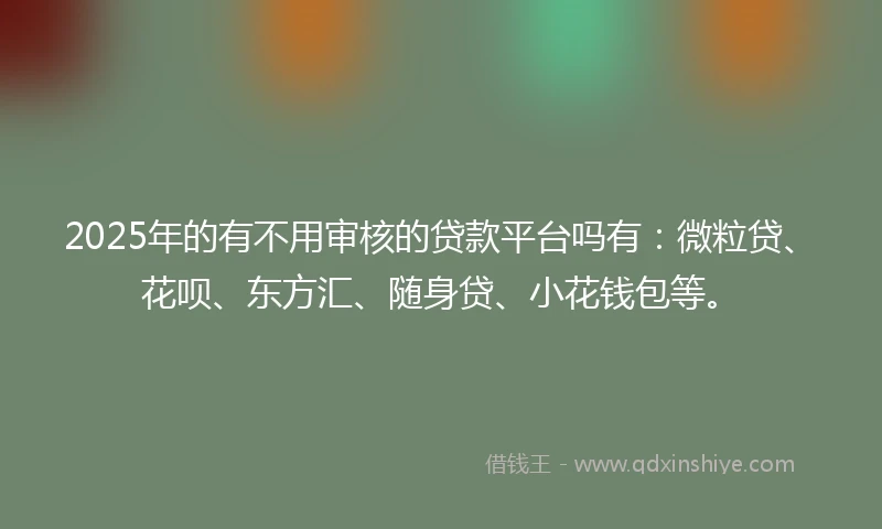 2025年的有不用审核的贷款平台吗有：微粒贷、花呗、东方汇、随身贷、小花钱包等。