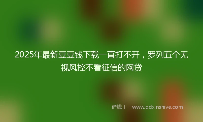 2025年最新豆豆钱下载一直打不开,罗列五个无视风控不看征信的网贷