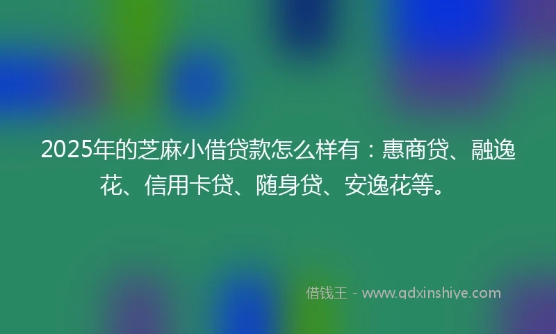 2025年的芝麻小借贷款怎么样有：惠商贷、融逸花、信用卡贷、随身贷、安逸花等。