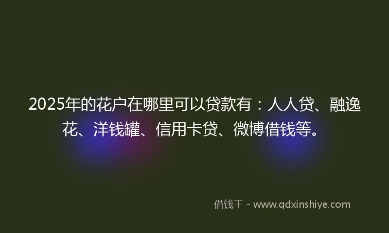 2025年的花户在哪里可以贷款有：人人贷、融逸花、洋钱罐、信用卡贷、微博借钱等。