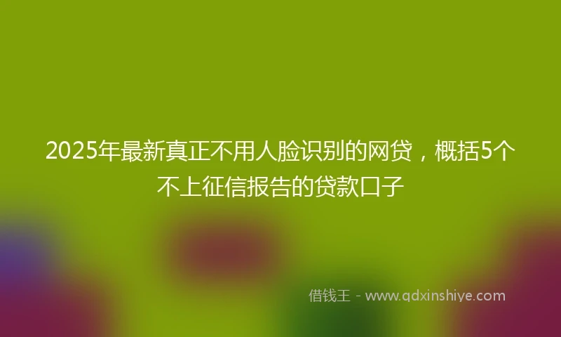 2025年最新真正不用人脸识别的网贷，概括5个不上征信报告的贷款口子