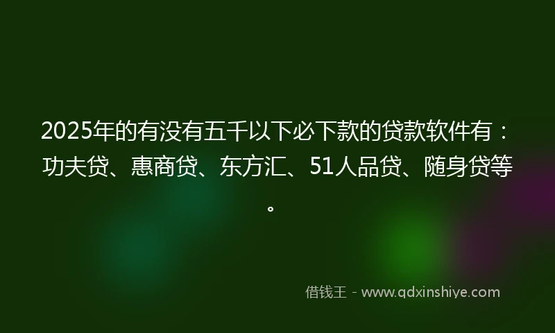2025年的有没有五千以下必下款的贷款软件有：功夫贷、惠商贷、东方汇、51人品贷、随身贷等。