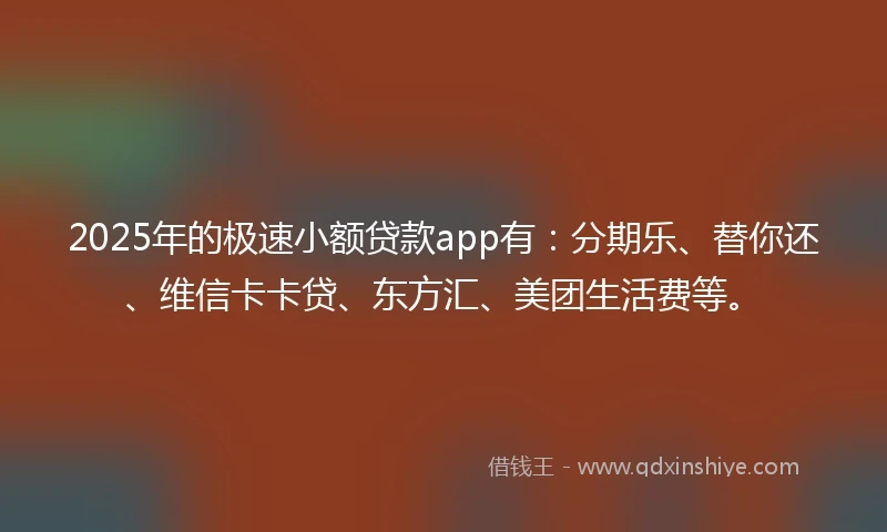 2025年的极速小额贷款app有：分期乐、替你还、维信卡卡贷、东方汇、美团生活费等。