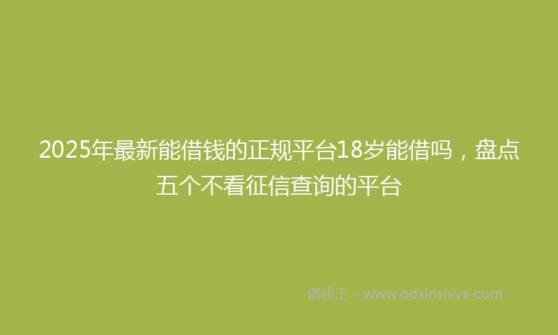 2025年最新能借钱的正规平台18岁能借吗，盘点五个不看征信查询的平台