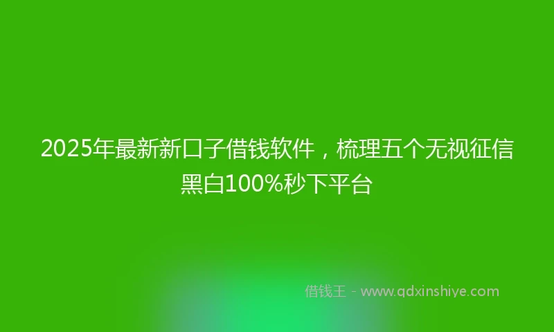 2025年最新新口子借钱软件，梳理五个无视征信黑白100%秒下平台