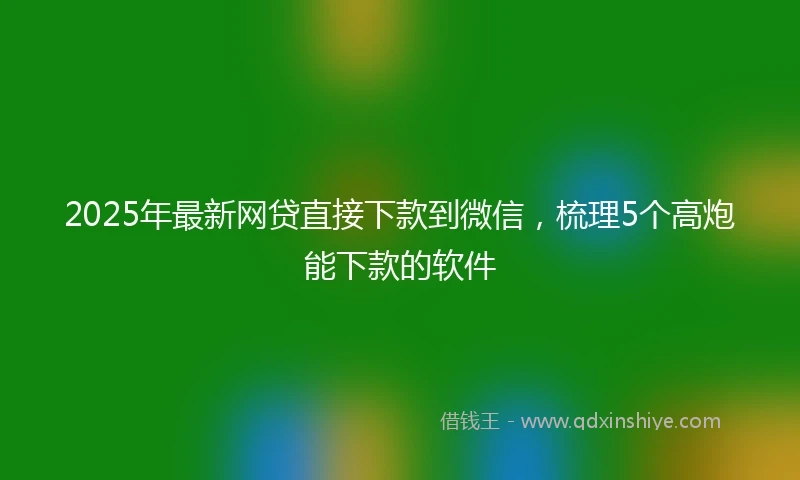 2025年最新网贷直接下款到微信，梳理5个高炮能下款的软件